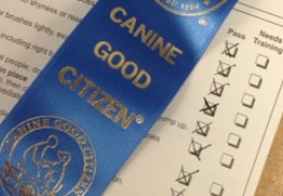 AKC Canine Good Citizen® (CGC) Drop-In Testing – Longmont Humane Society