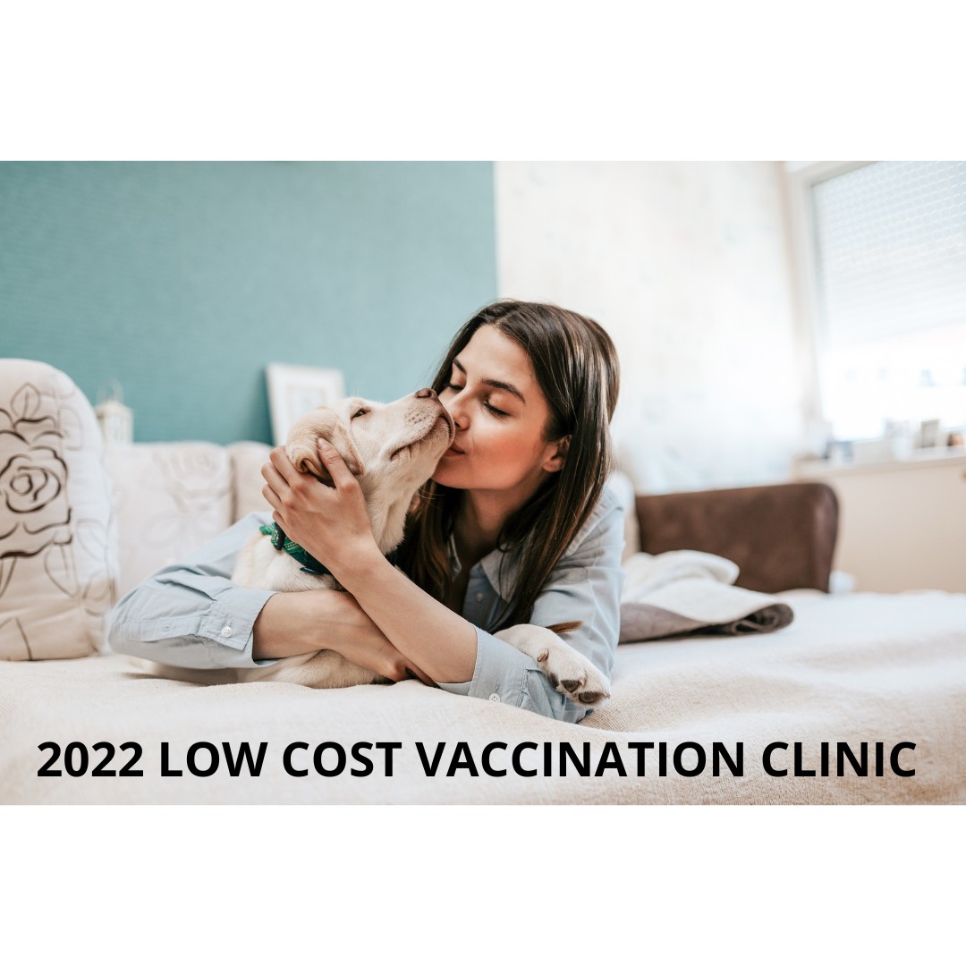 Humane society low cost shop vaccinations