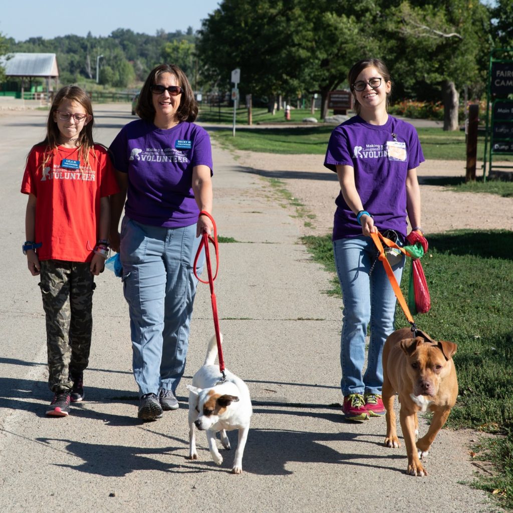 Dog Walking Volunteer