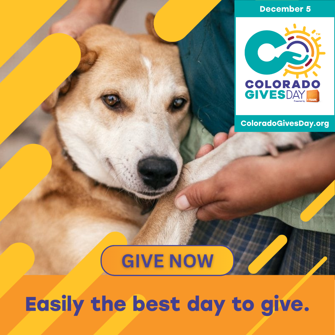 Colorado Gives Day