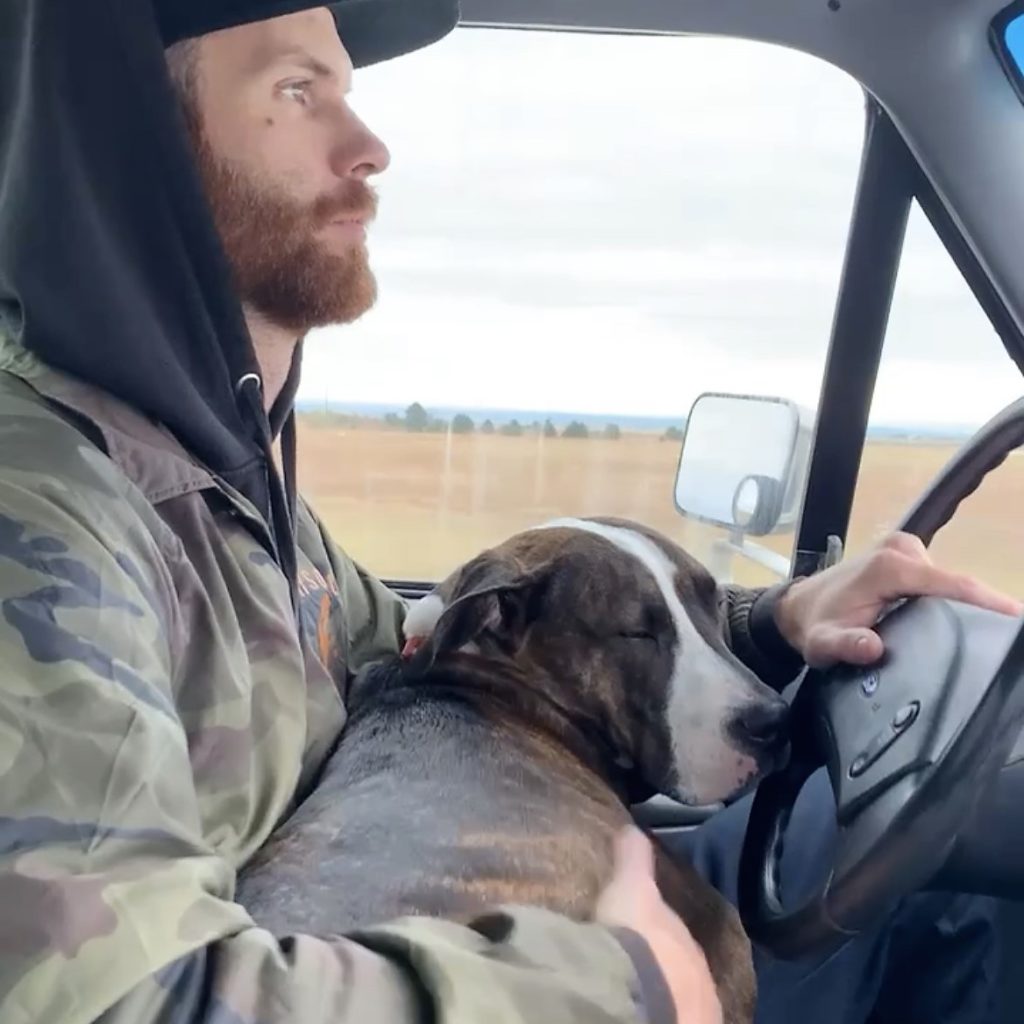 Adoption Update: Tex the dog