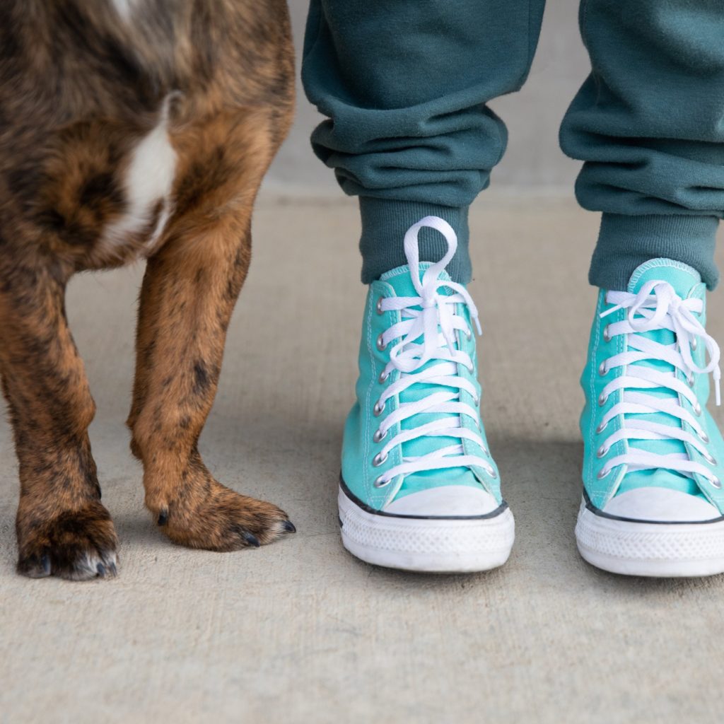 Help the Animals Longmont Humane Society