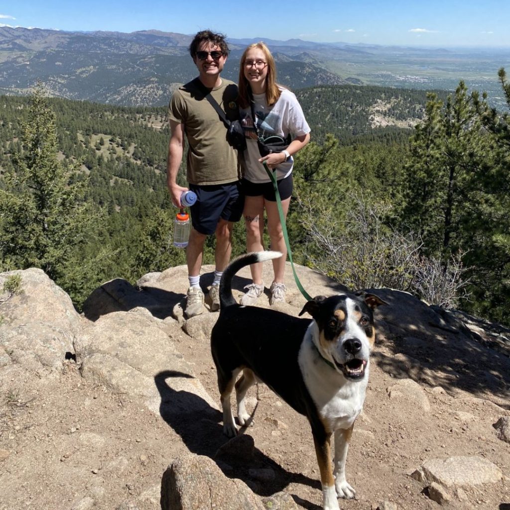 Adoption Update: Sampson the dog