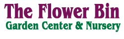 Sponsor: The Flower Bin