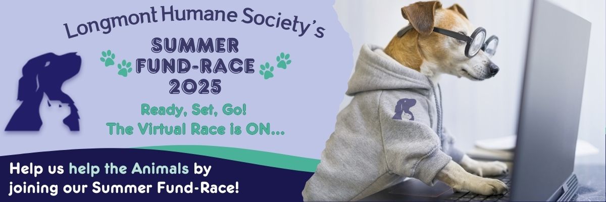 Dog at computer entering the LHS Fund-race