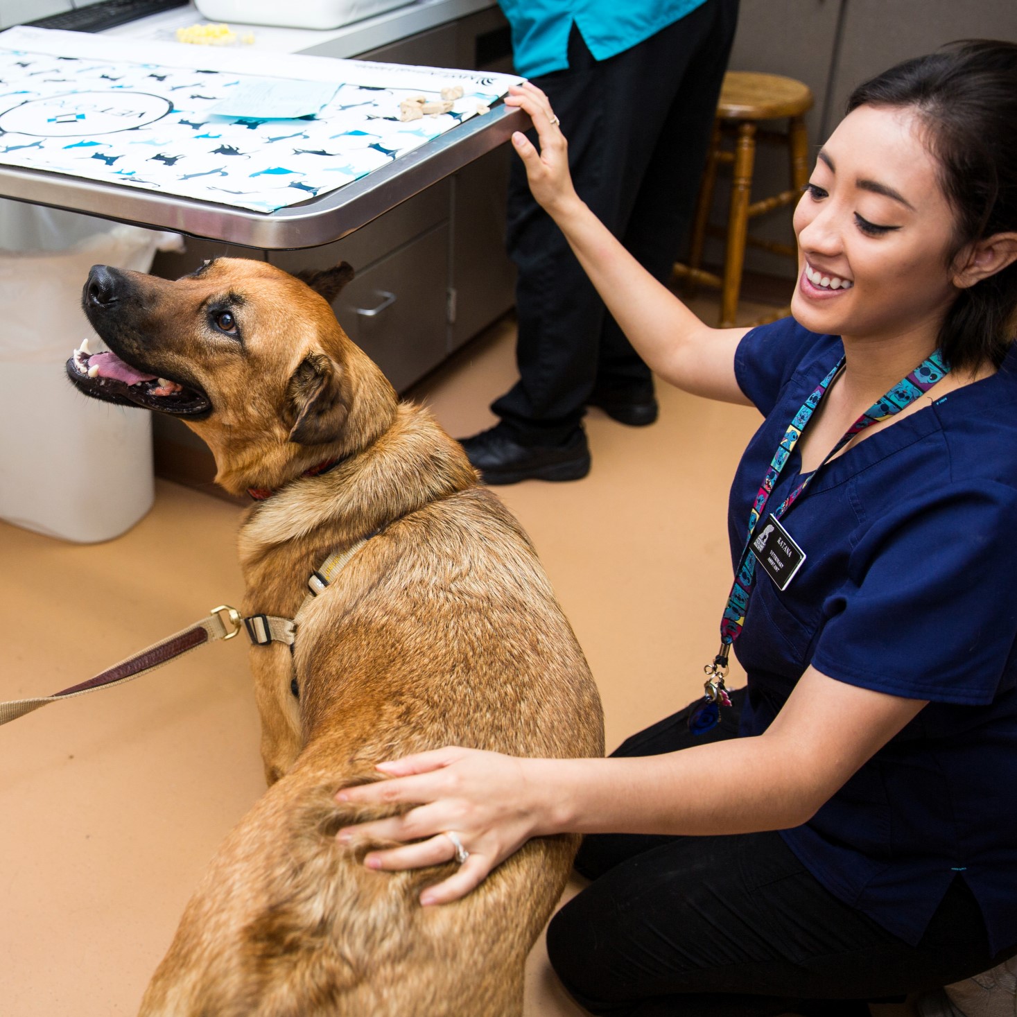 Veterinary technician with dog