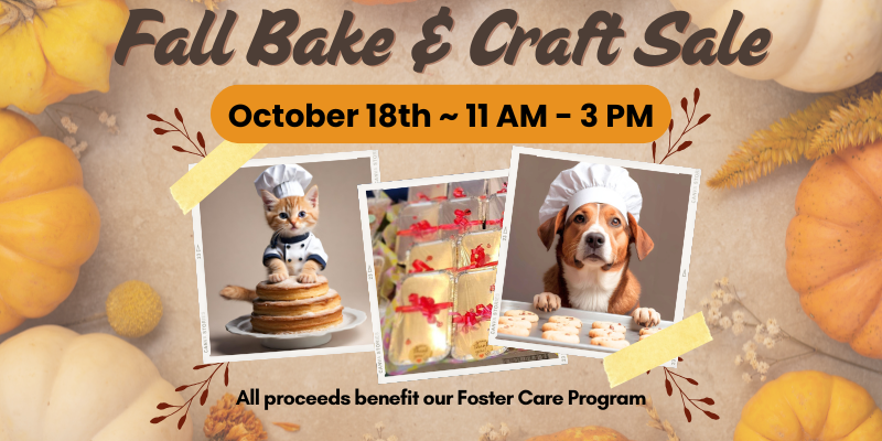 Fall Bake & Craft Sale